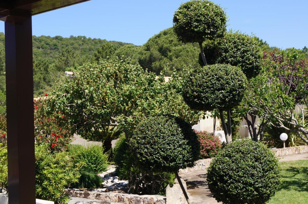 Les Jardins De Santa Giulia - Charmante Chambre D'Hote Porto-Vecchio  Buitenkant foto